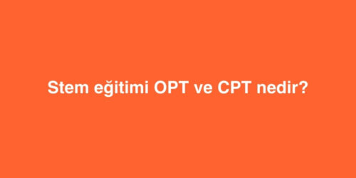 Stem Eğitimi OPT ve CPT Nedir? 204 stem egitimi opt ve cpt nedir 500x250 1