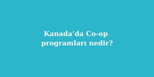 Kanada’da Co-op Programları Nedir? 121 kanadada co op programlari nedir 500x250 1