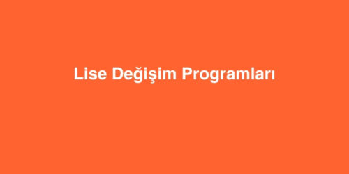 Lise Değişim Programları 119 lise degisim programlari 500x250 1