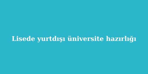lisede yurtdisi universite hazirligi 500x250 1