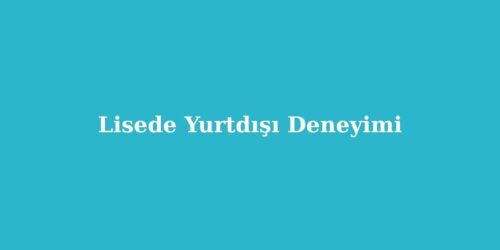Lisede Yurtdışı Deneyimi 90 lisede yurtdisi deneyimi 500x250 1