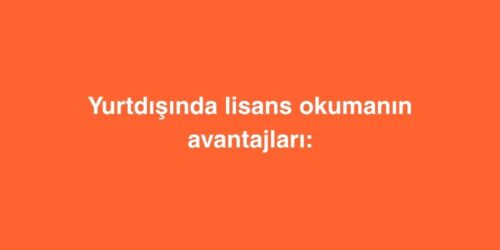 Yurtdışında Lisans Okumanın Avantajları: Geleceğinizi Şekillendirecek 7 Dev Fırsat 57 yurtdisinda lisans okumanin avantajlari geleceginizi sekillendirecek 7 dev firsat 1 500x250 1