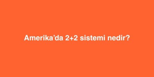 amerikada 22 sistemi nedir 500x250 1