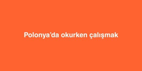Polonya’da Okurken Çalışmak 45 polonyada okurken calismak 500x250 1