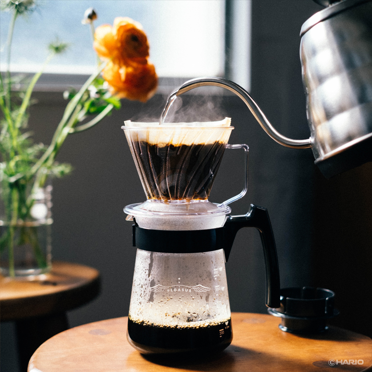 Hario Pegasus 03 Dripper (Şeffaf Plastik) - Görsel 3