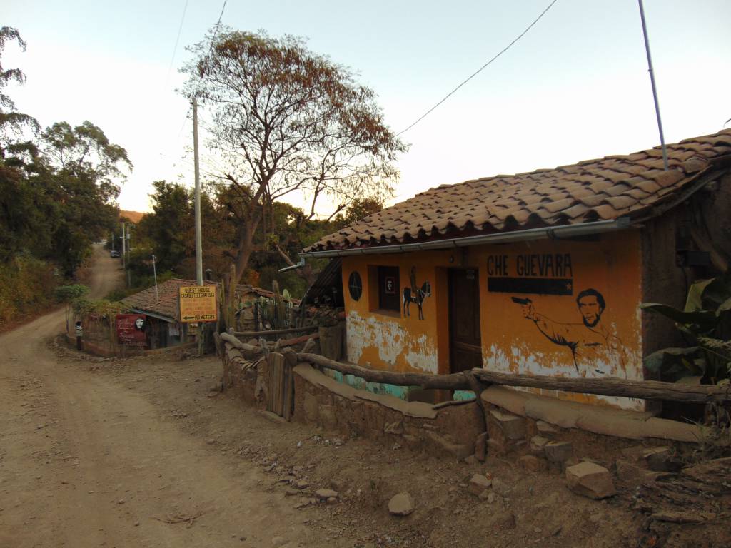 DSC00202