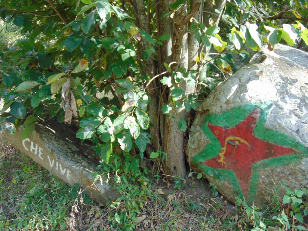 DSC00233