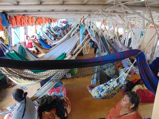 dsc01426-01