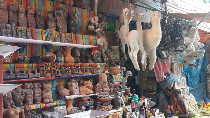 Bebek lamalar