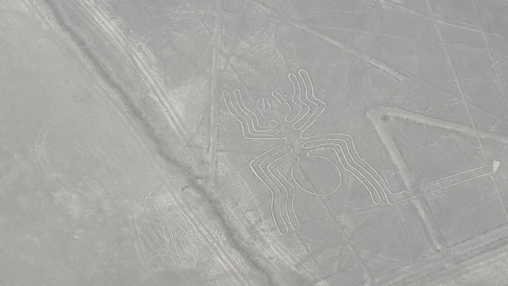 Peru'daki Nazca Çizgileri