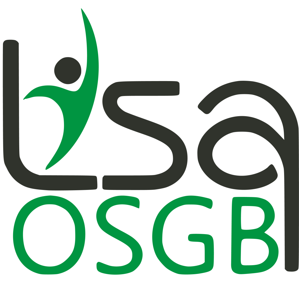 lisa osgb logo scaled