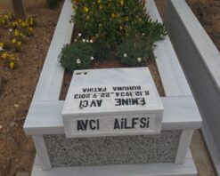Abide Mermer Baştaşı - Görsel 7