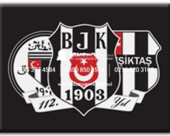 Porselen Üzerine Logo (Solmaz) - Görsel 14