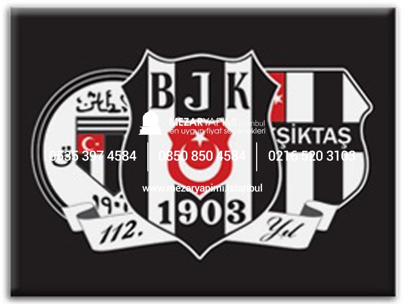 Porselen Üzerine Logo (Solmaz) - Görsel 14