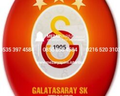 Porselen Üzerine Logo (Solmaz) - Görsel 12