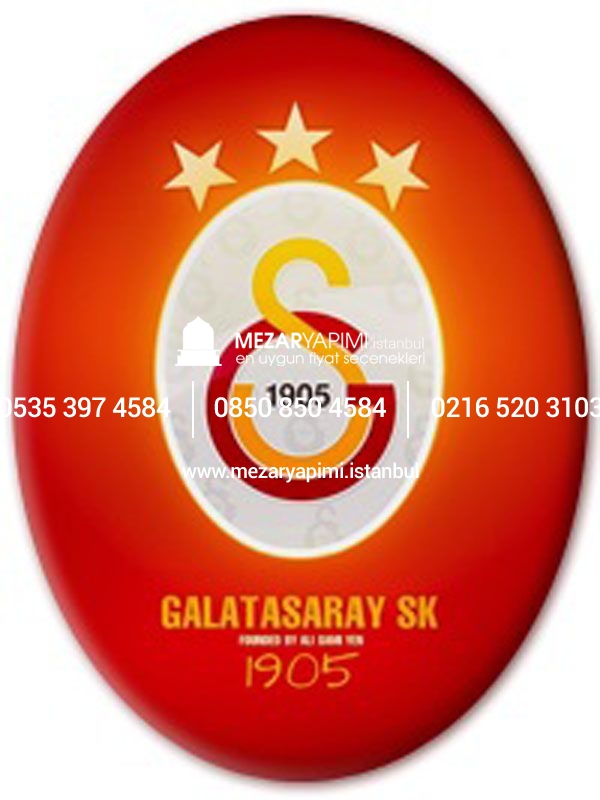 Porselen Üzerine Logo (Solmaz) - Görsel 12