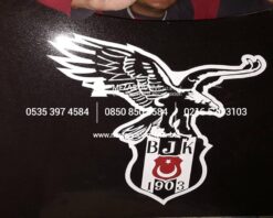 Granit Baş Taşı Üzerine Loğo ve Arma - Görsel 8