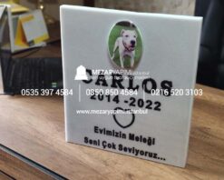 Resimli Evcil Hayvan (Kedi&Köpek) Mermer Mezar Taşı - Görsel 6