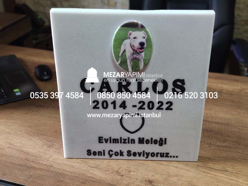 Resimli Evcil Hayvan (Kedi&Köpek) Mermer Mezar Taşı - Görsel 7
