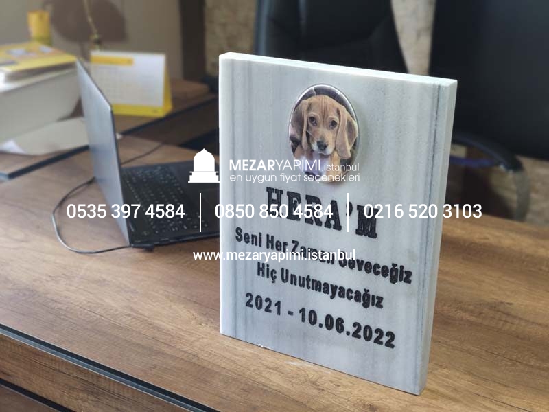 Resimli Evcil Hayvan (Kedi&Köpek) Mermer Mezar Taşı - Görsel 13