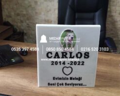 Resimli Evcil Hayvan (Kedi&Köpek) Mermer Mezar Taşı - Görsel 12