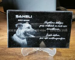 15x10cm Evcil Hayvan Anit Tasi