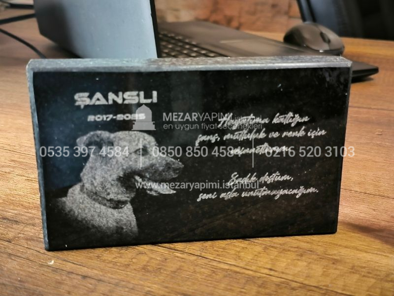15x10cm Evcil Hayvan Anit Tasi