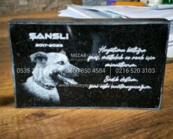 15x10cm Evcil Hayvan Anit Tasi