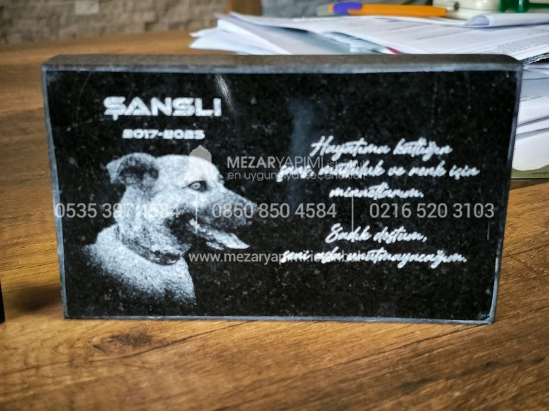 15x10cm Evcil Hayvan Anit Tasi
