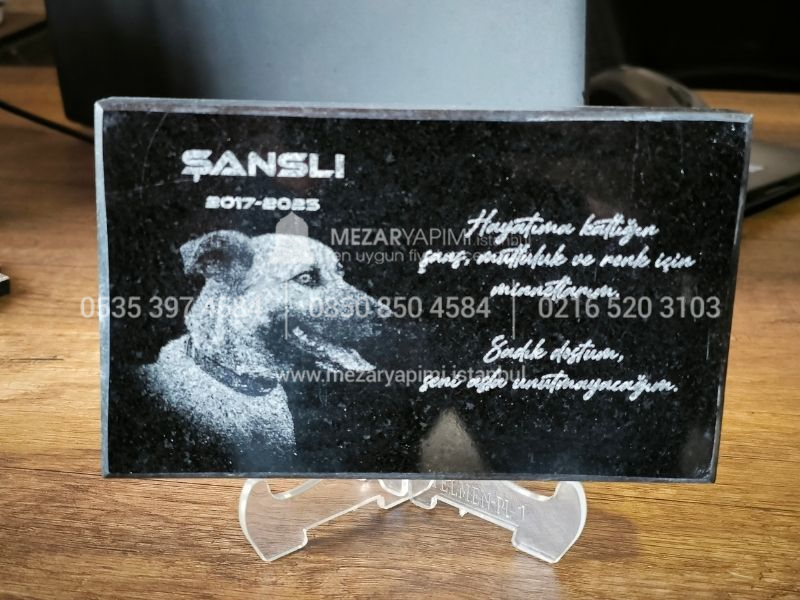 15x10cm Evcil Hayvan Anit Tasi