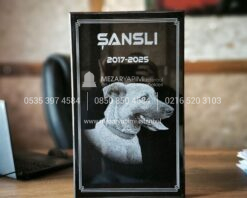 50x30cm Lazer Resimli Granit Pet Mezar Tasi