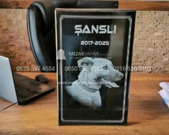 50x30cm Lazer Resimli Granit Pet Mezar Tasi