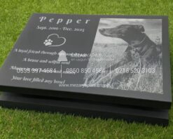Kaide Üzerinde Lazer Resimli Granit Pet Anıt Taşı