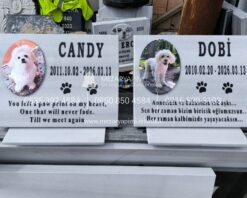 Kaide Üzerinde Porselen Resimli Mermer Pet Mezar Taşı