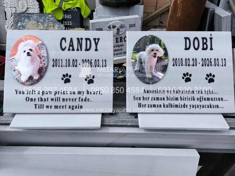 Kaide Üzerinde Porselen Resimli Mermer Pet Mezar Taşı