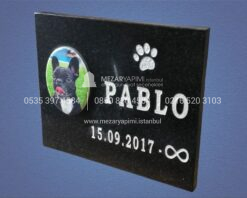 Resimli Evcil Hayvan (Kedi&Köpek) Granit Anıt Taşı