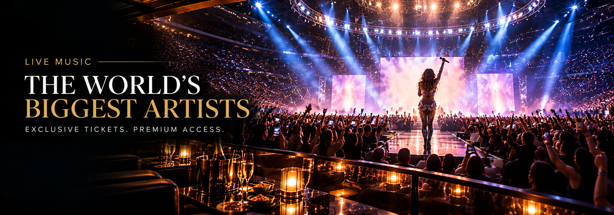 Concert audience and premium hospitality seating at a large live music event
