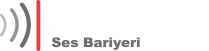 logo footer