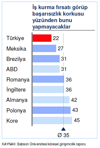 Türkiye girişimcilik endeksi