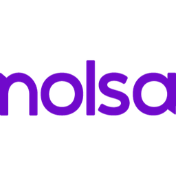 NOLSA Logo