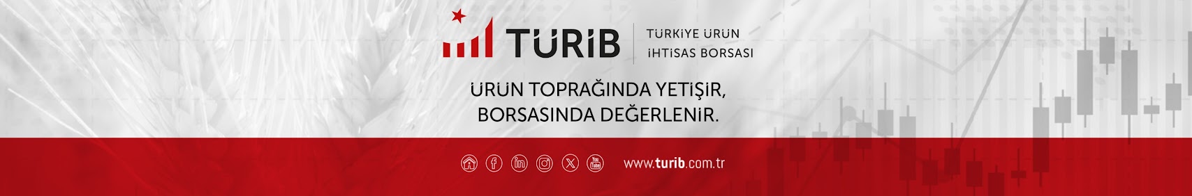 Türkiye Ürün İhtisas Borsası - Arka plan resmi