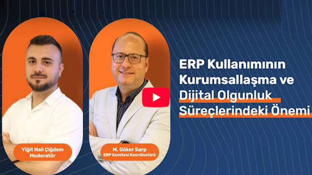 The Role of ERP in Institutionalization and Digital Maturity