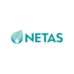 Netaş