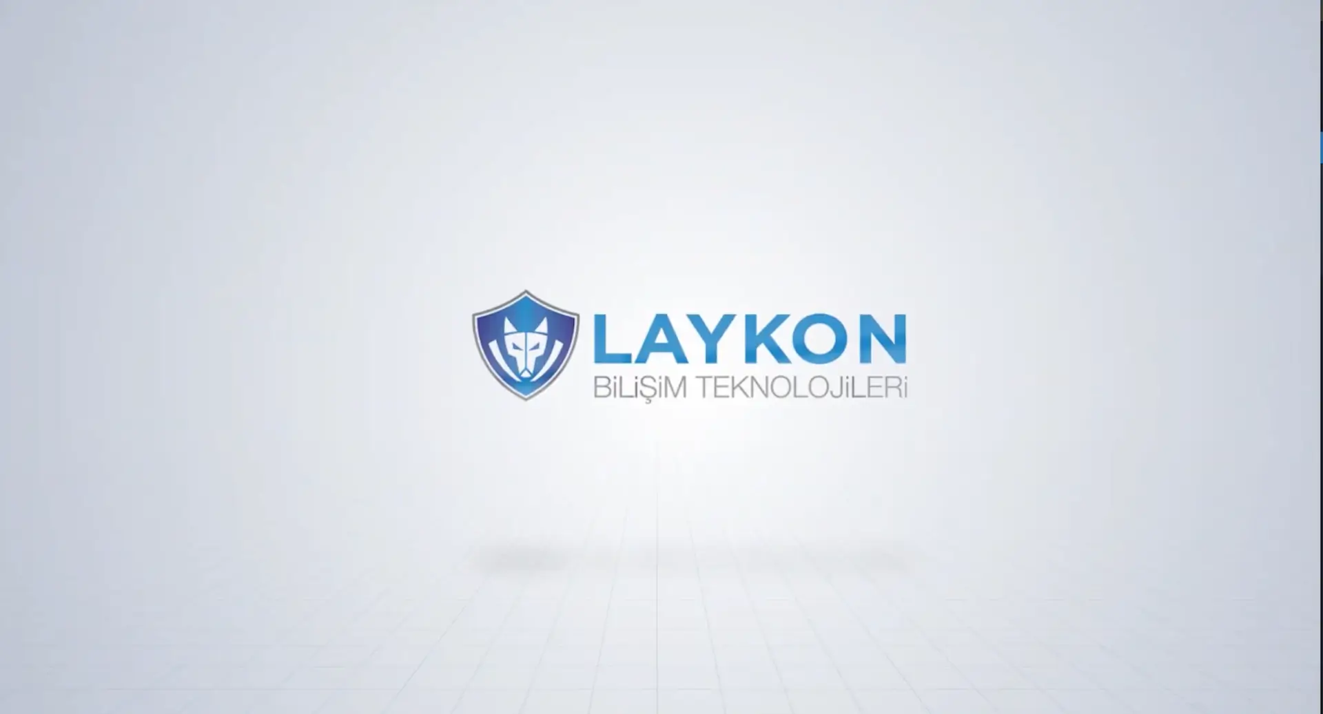 Laykon Siber Güvenlik Çözümleri
